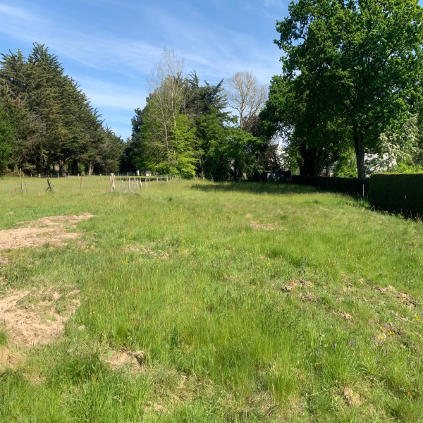 Offres de vente Terrain Saint-Molf 44350